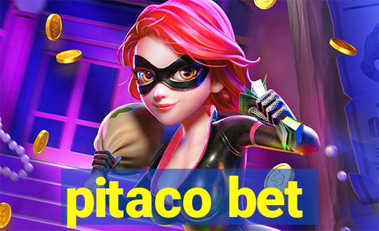 pitaco bet